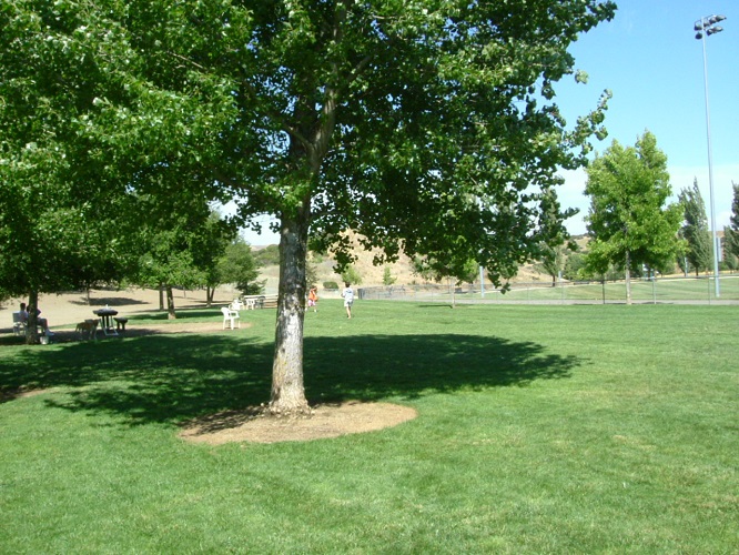 Phenix Dog Park
